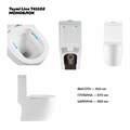 Унитаз напольный моноблок безободковый с быстросъемным сиденьем микролифт Teymi Lina T41102 1216481